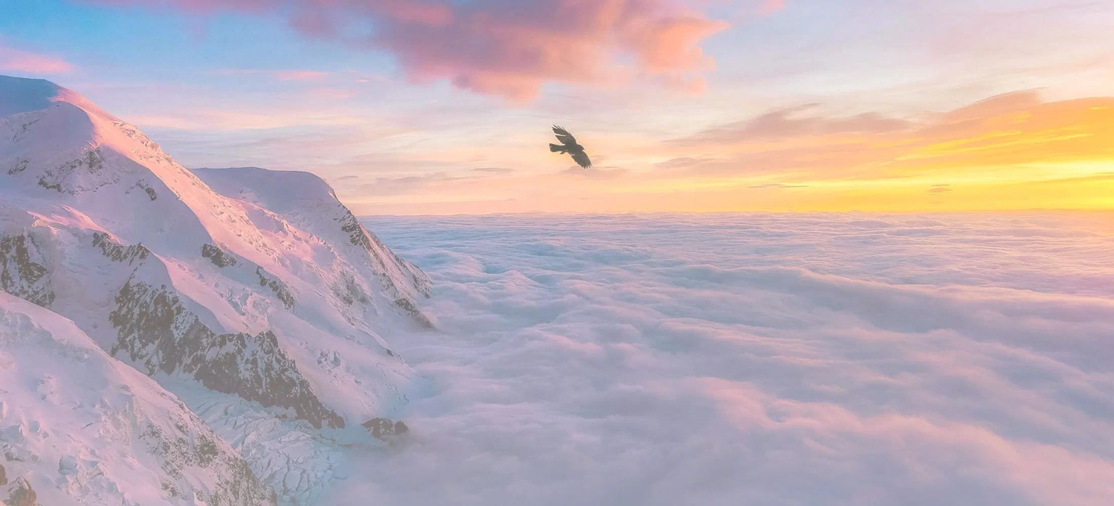 An eagle flying above a sea of clouds at sunrise, beside a snow-covered peak